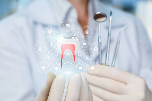 Professional  Holistic Dental Services in Randolph, WI